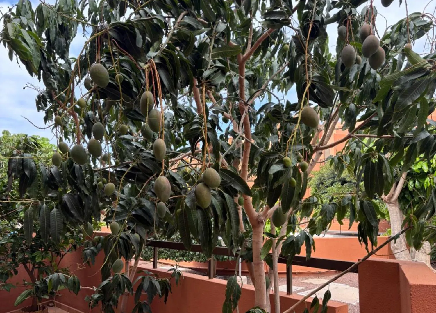 La Tejita Paradise Apartamento La Tejita